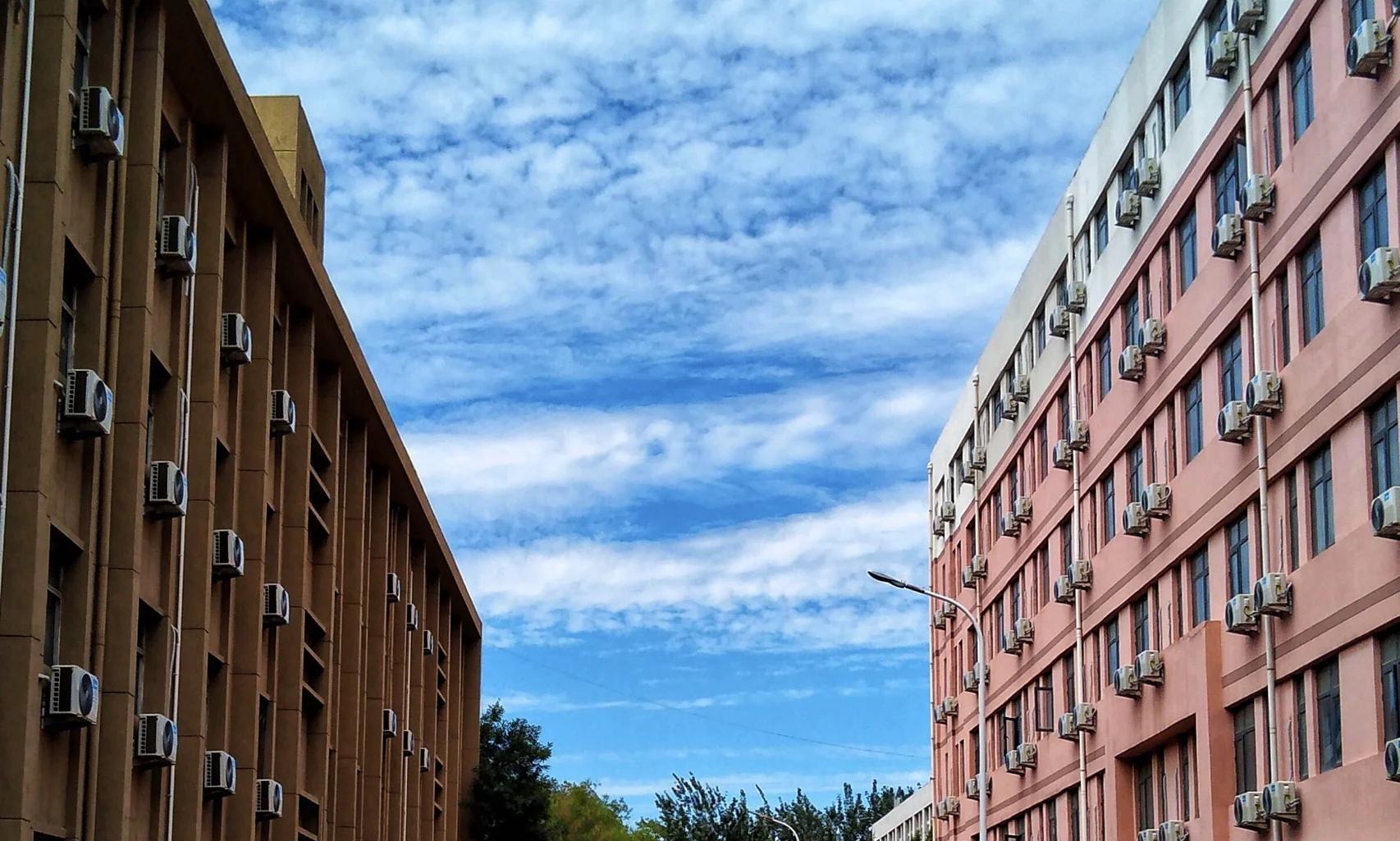 谁在崛起？近五年“双一流”高校新增十大热门专业榜