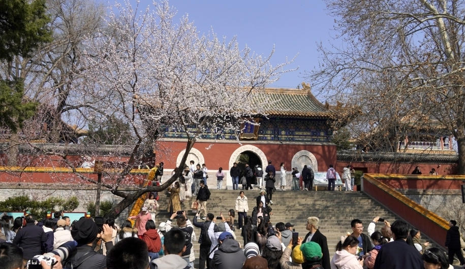 景区儿童票价该“看身高”还是“看年龄”？