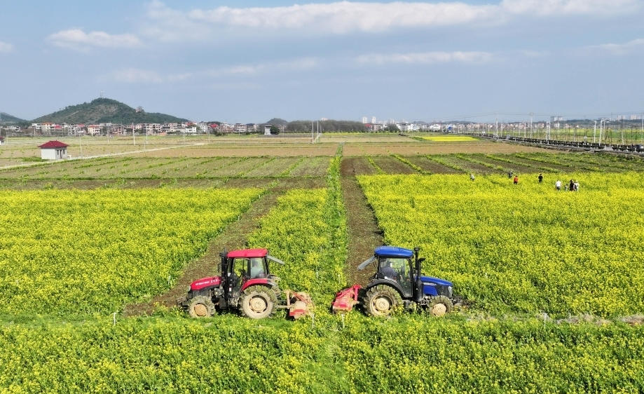 广西七部门联合开展农资打假专项行动 护航春耕生产